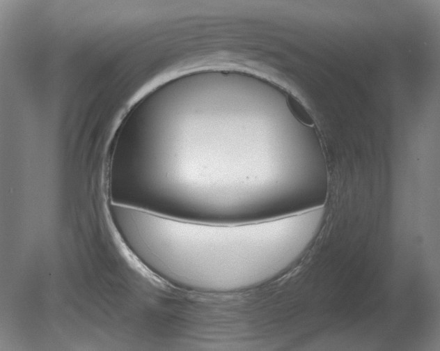X0000080741526200612150919