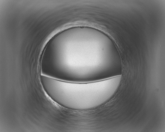 X0000080741527200612150919