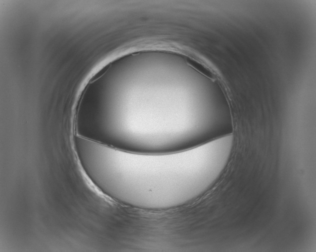 X0000080741528200612150919