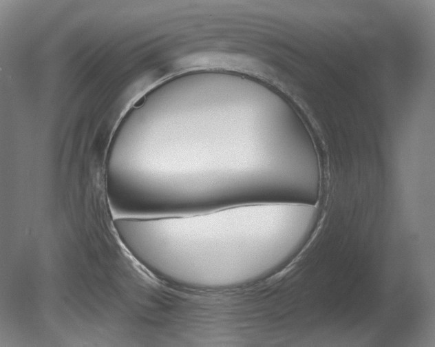 X0000080741529200612150919