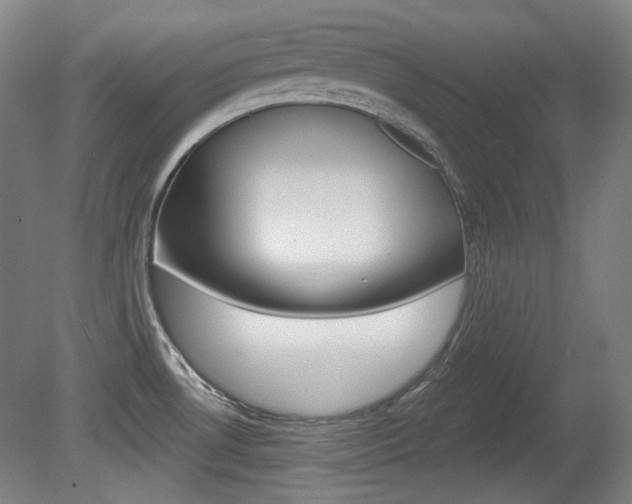 X0000080741530200612150919