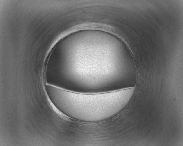 X0000080741531200612150919