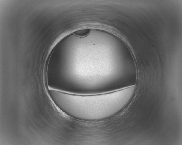 X0000080741533200612150919