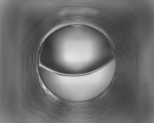 X0000080741534200612150919