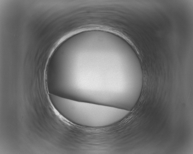 X0000080741535200612150919