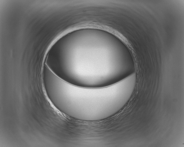 X0000080741536200612150919