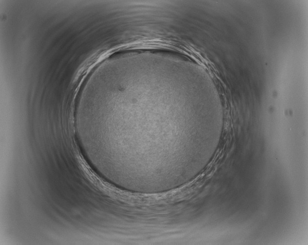 X0000080740002200612151301