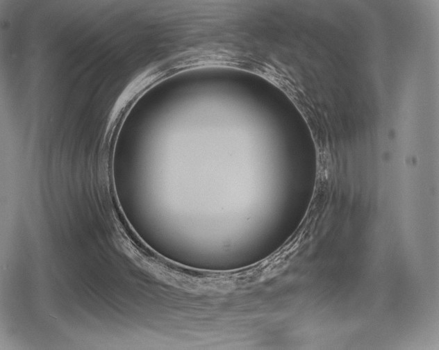 X0000080740004200612151301