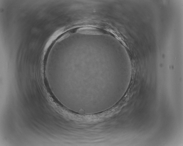 X0000080740006200612151301