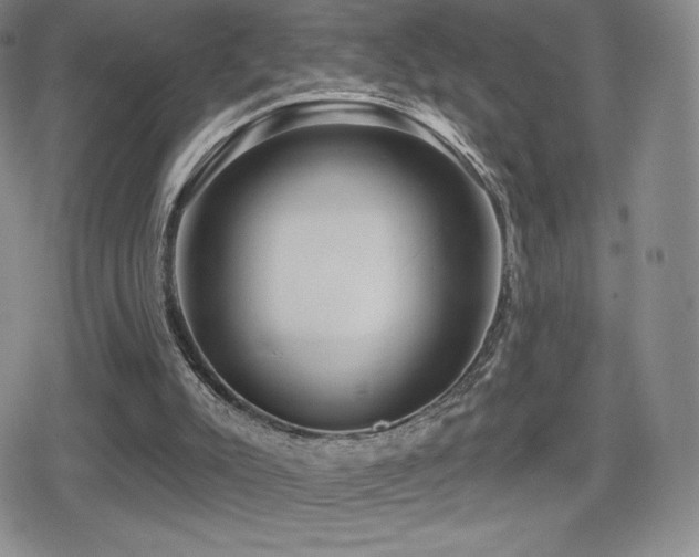 X0000080740007200612151301