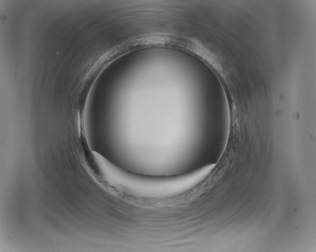 X0000080740013200612151301