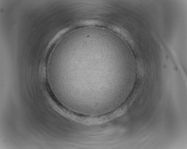 X0000080740016200612151301