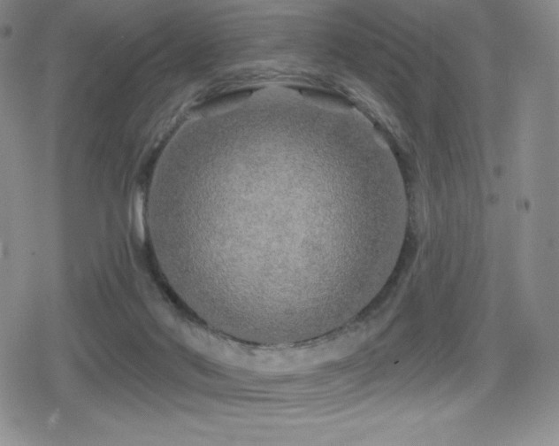 X0000080740022200612151301