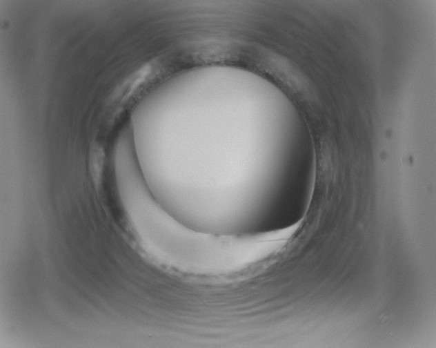 X0000080740025200612151301