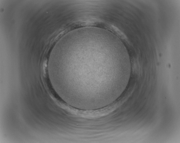 X0000080740026200612151301