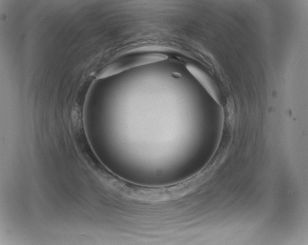 X0000080740029200612151300