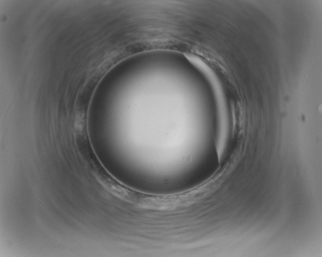 X0000080740033200612151300