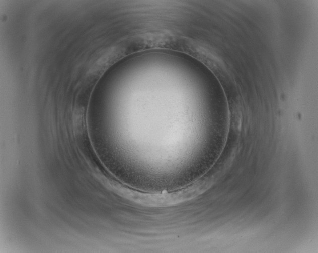 X0000080740034200612151300