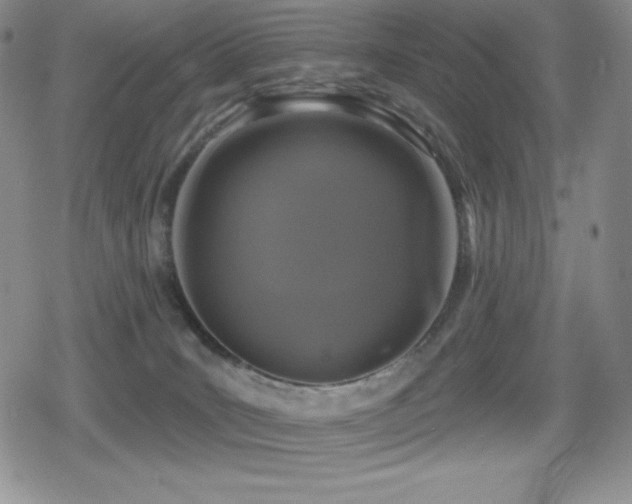 X0000080740035200612151300