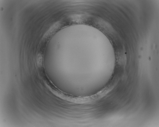 X0000080740036200612151300