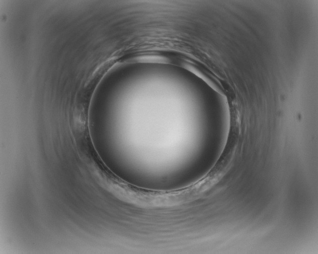X0000080740040200612151300