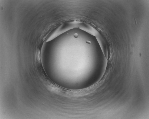 X0000080740041200612151300