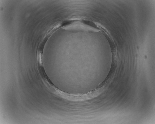 X0000080740042200612151300