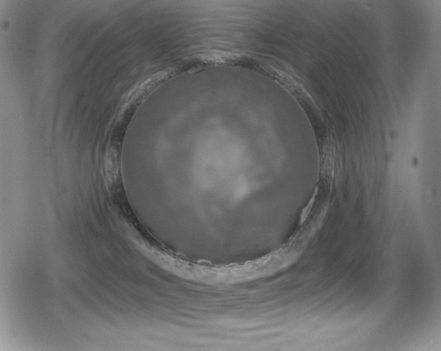 X0000080740043200612151300