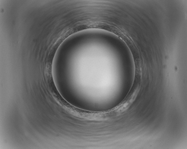 X0000080740044200612151300