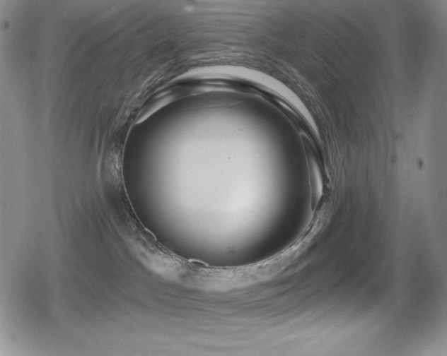 X0000080740045200612151300