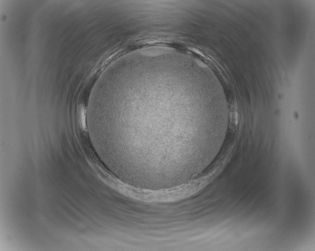 X0000080740046200612151300