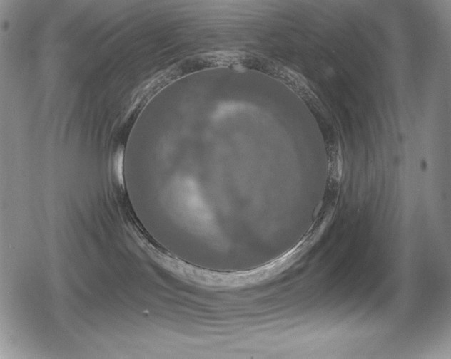 X0000080740047200612151300