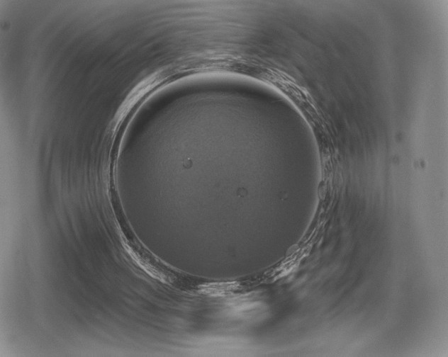 X0000080740051200612151259