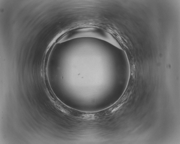 X0000080740052200612151259