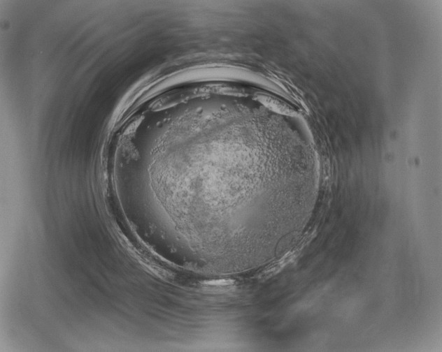 X0000080740053200612151259