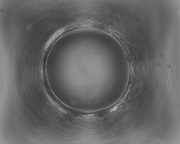 X0000080740054200612151259