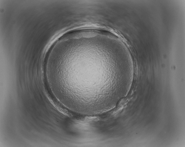 X0000080740055200612151259