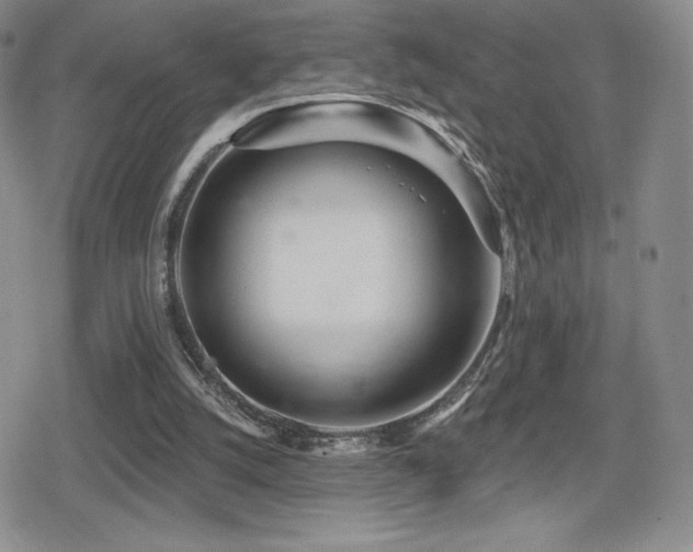 X0000080740056200612151300