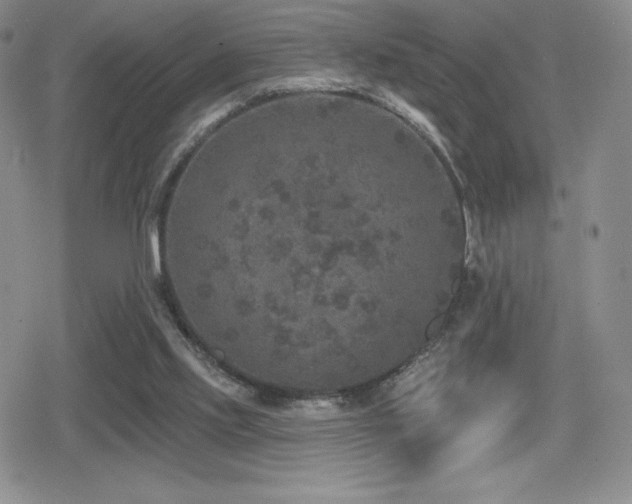 X0000080740061200612151300