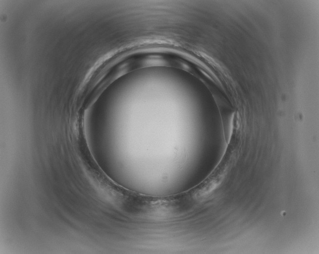 X0000080740064200612151300