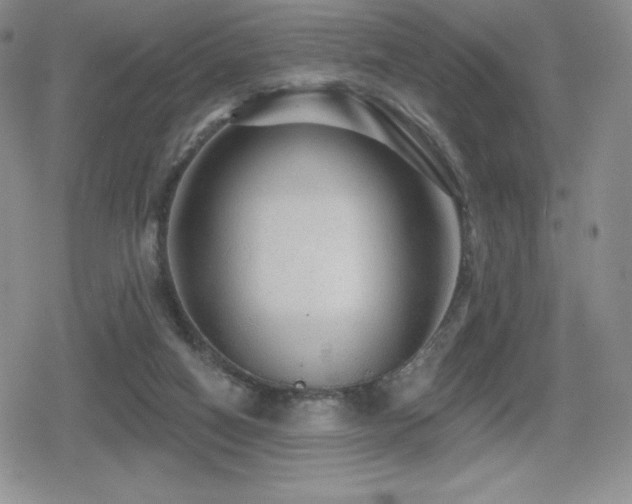 X0000080740066200612151300
