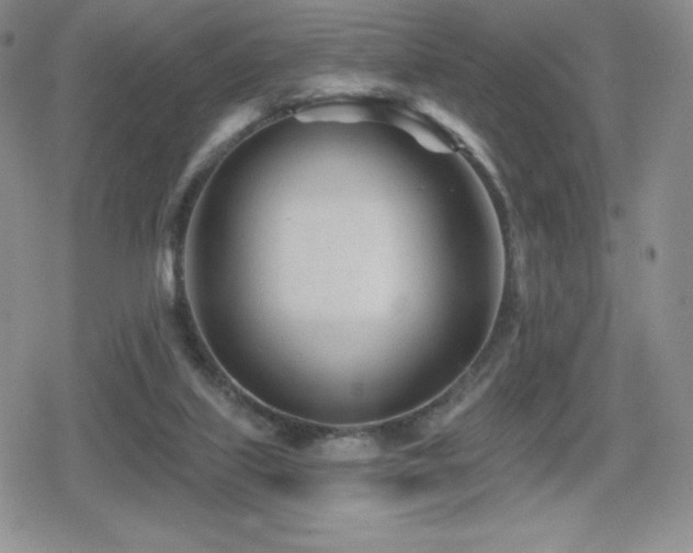 X0000080740067200612151300