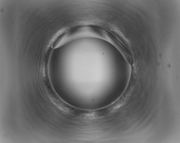 X0000080740068200612151300