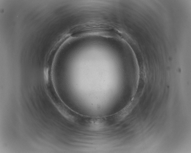 X0000080740070200612151300