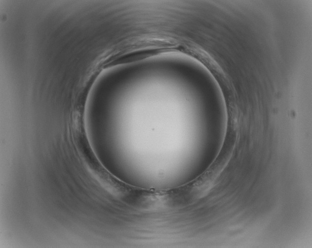 X0000080740071200612151300