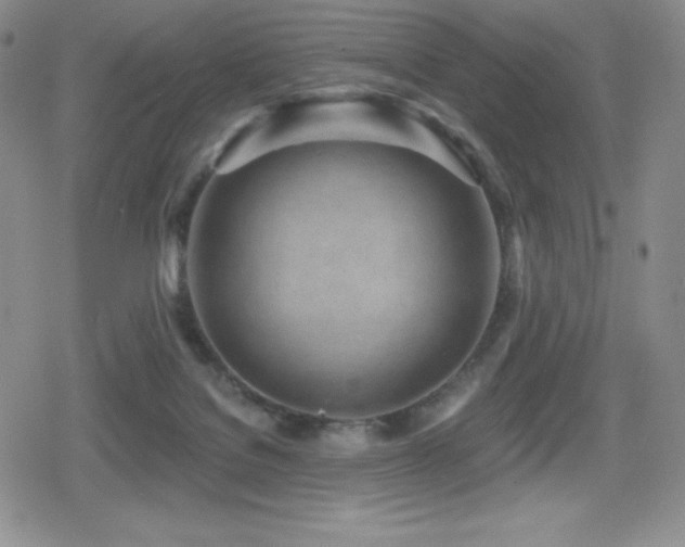 X0000080740076200612151300