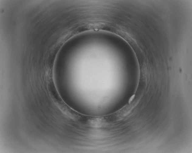 X0000080740079200612151300