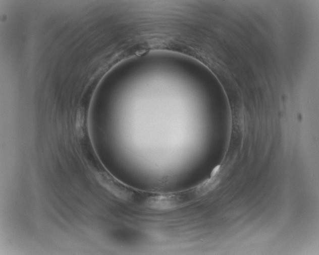 X0000080740082200612151300