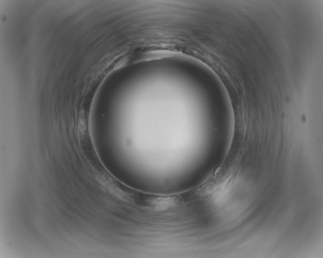 X0000080740085200612151300