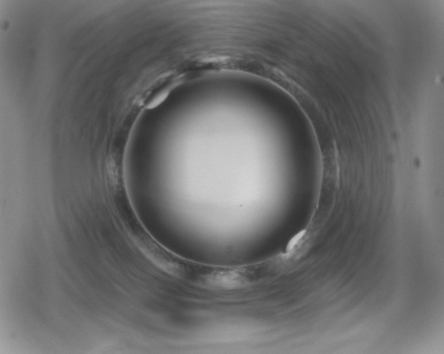X0000080740086200612151300